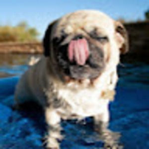 Meet your Posher, Caroline